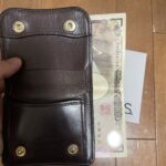 【エイジングレポート】ワイルドスワンズ パームの1年後の姿